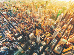 new york