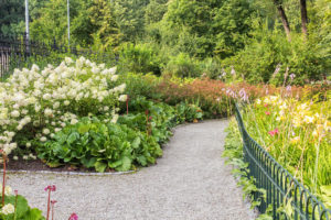 Bernardine Gardens i vilnius