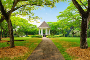 Singapore Botaniske Hage