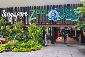 Singapore Zoo